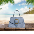 Elegant Women’s Mini Handbag – Blue